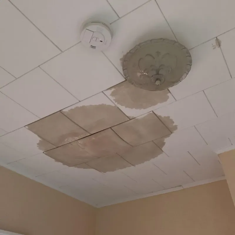 Ceiling Water Damage Repair in Green Acres, CA